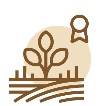 Why Certificated Organic Almond?